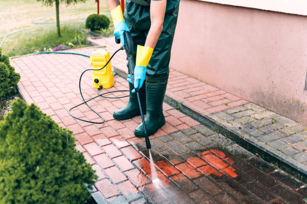Best Building Exterior Washing  in Wilton, CA
