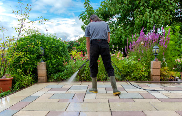 Best Restaurant Pressure Washing  in Wilton, CA
