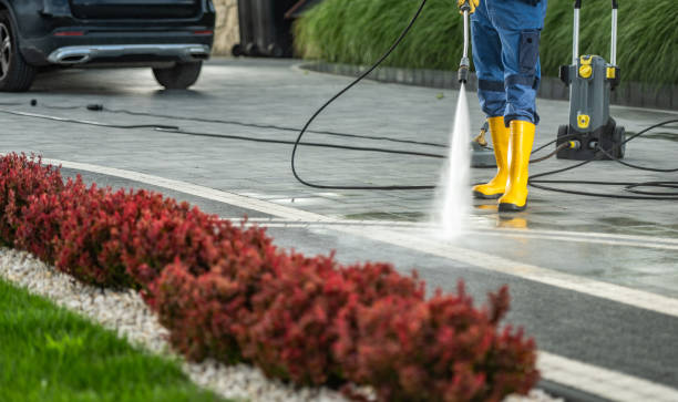 Trusted Wilton, CA Pressure Washing Services Experts